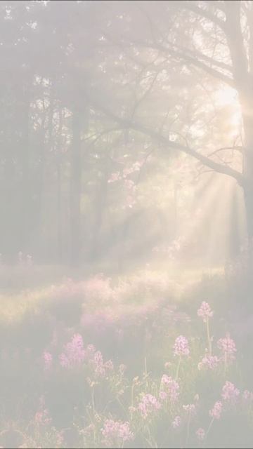 луна пожирательница снов