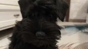 тайное послание