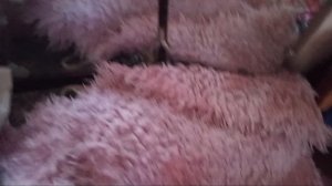 гуляем с Сашей♡♡♡ 1/? часть