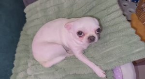 Доброго всем вечера и самых приятных снов.