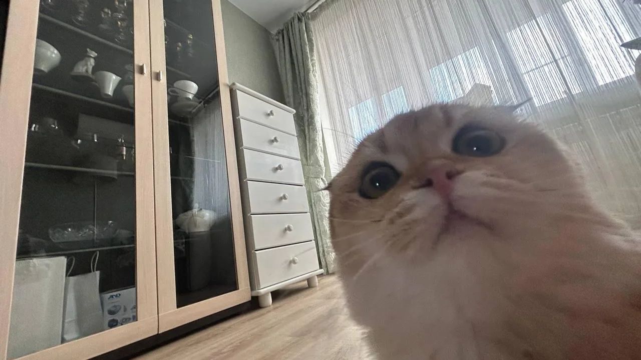 Minecraft 1.16.5 - Сетевая игра