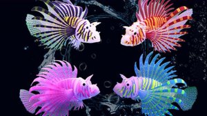 РЫБКИ!!!КРАСОТА-ДА И ТОЛЬКО!