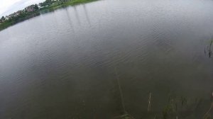 Рыбалка на Озере на окуня и щуку.Рыбалка 2024