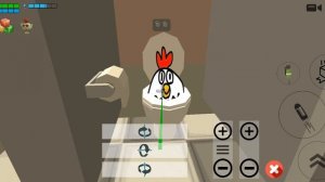 чикен туалет