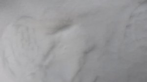 Мопеды сериал | Серия 1790