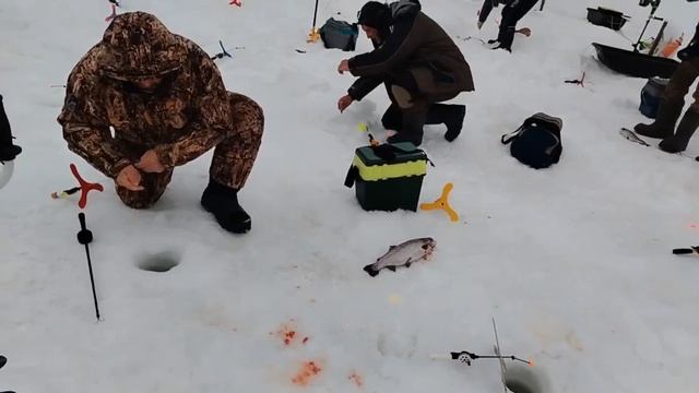 28.02.26 г. РК Волна. смотреть онлайн