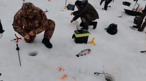 28.02.26 г. РК Волна.