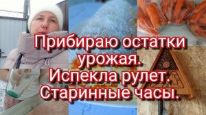 28-02-2026Прибираю остатки урожая.Испекла рулет.Старинные часы.
