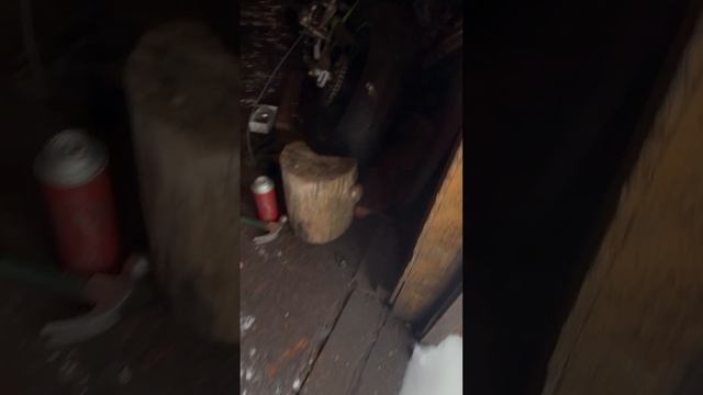 IMG_2929 смотреть онлайн