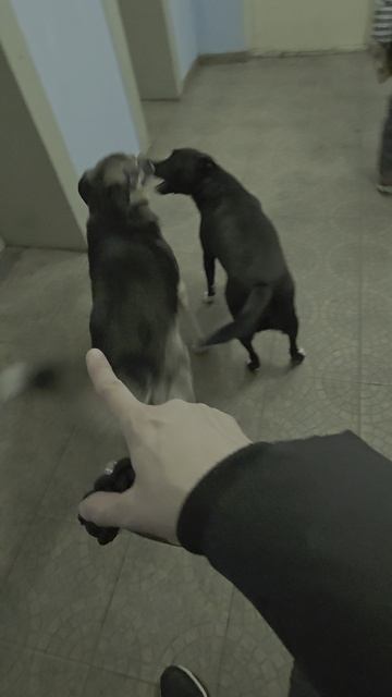 Банда копчёных🤣🤣🤣