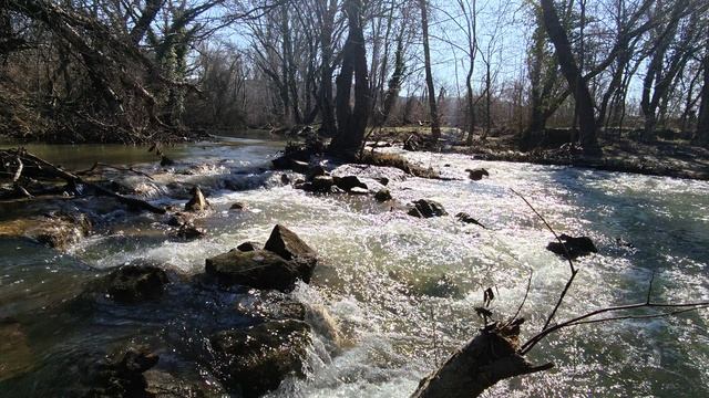 Шум речки, течение воды, природа