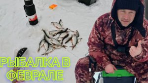 ГДЕ ИСКАТЬ ПЛОТВУ В КОНЦЕ ФЕВРАЛЯ?Ловим ПЛОТВУ на мормышку в конце февраля 2026!#рыбалка #плотва