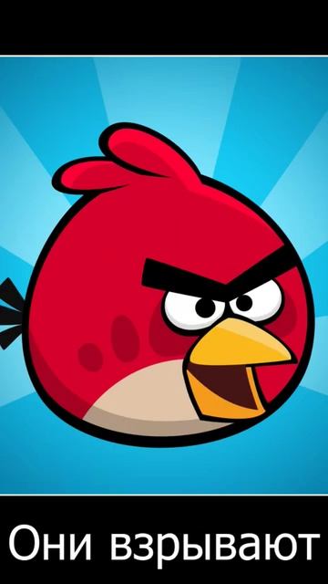 Птички летят