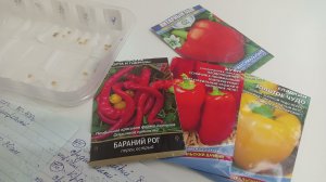 Посев перца на рассаду в 2026 году