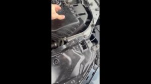 IMG_2608 (online-video-cutter.com)