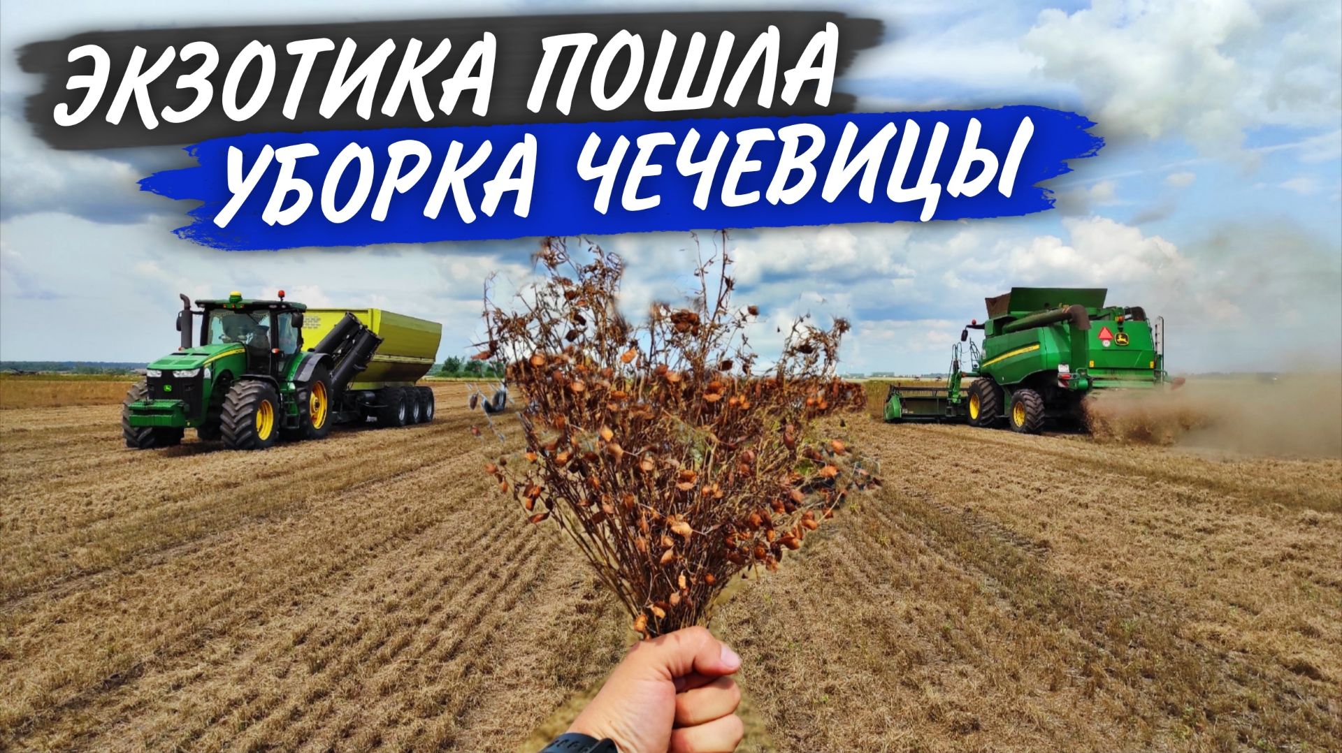 Молотим ЧЕЧЕВИЦУ в три John Deere. НАПАСТИ с S660 не отпускают ИНЖЕНЕРА. смотреть онлайн