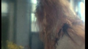 Ольга Зарубина - Целебное зелье