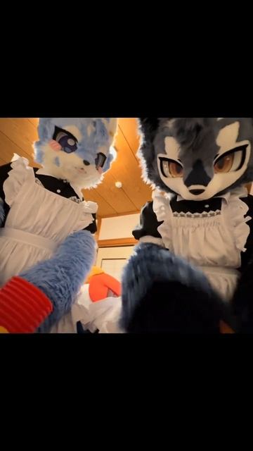 VID_20260228_145838_486