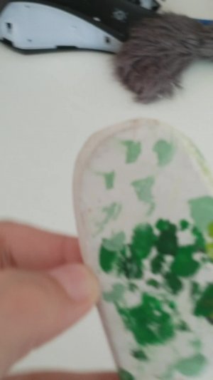 всем привет коты воители 🥰🥰🥰🥰