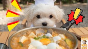 🐶Очаровательный повар готовит сундубу-ччигэ (внимание: атака милотой!) 🍖✨