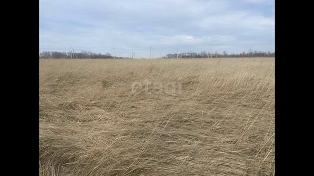 11834770 смотреть онлайн
