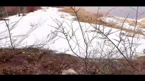 стрельба из рогатки ЧАСТЬ 49