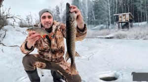 Рыбалка на щуку! На жерлицы и хапуги! Поход к домику на дереве