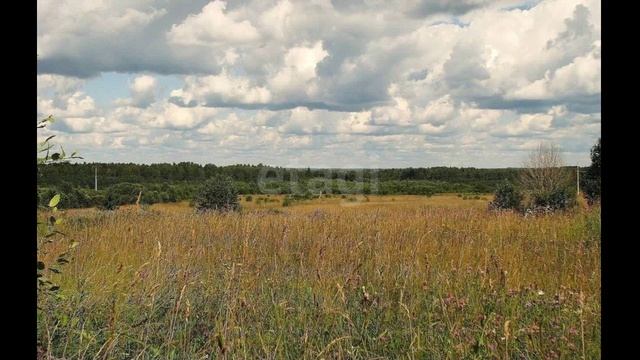 11778293 смотреть онлайн