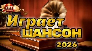Играет шансон. Сборник песен