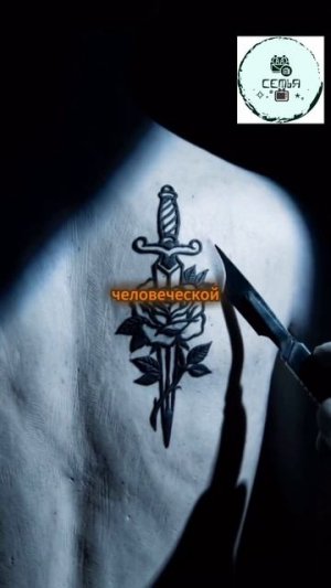 ФРАО АБАЖУР КОТОРАЯ ВЫРЕЗАЛА ТАТУЕРОВКИ ЗАКЛЮЧЕННЫХ