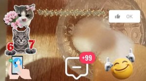 water слайм без клея и загустителя как сделать?🥺