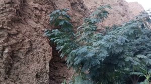 Тропинка до ущелья!