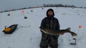 Пришел к жерлицам.. А тут! Монстры не помещаются в лунки!