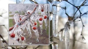 Поздравления в марте для друзей