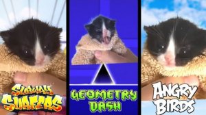 КОТИК МЯУКАЕТ РЕМИКС ПО МОБИЛЬНЫМИ ИГРАМ! ТОП 5 ПЕСЕН ОТ ЛЕГЕНДАРНОГО КОТИКА ОН - ЛЕГЕНДА РЕАКЦИЯ