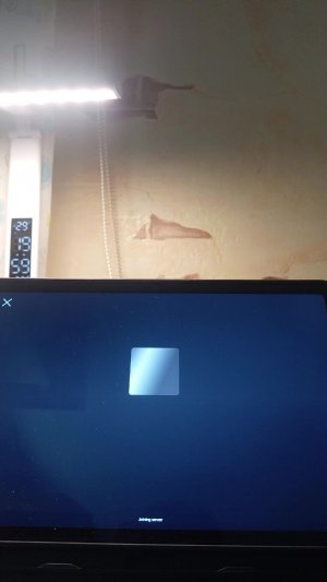 обнова в цунами брейрот