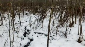 СНЕЖНЫЙ КОП ПО НЕМЕЦКИМ ХУТОРАМ