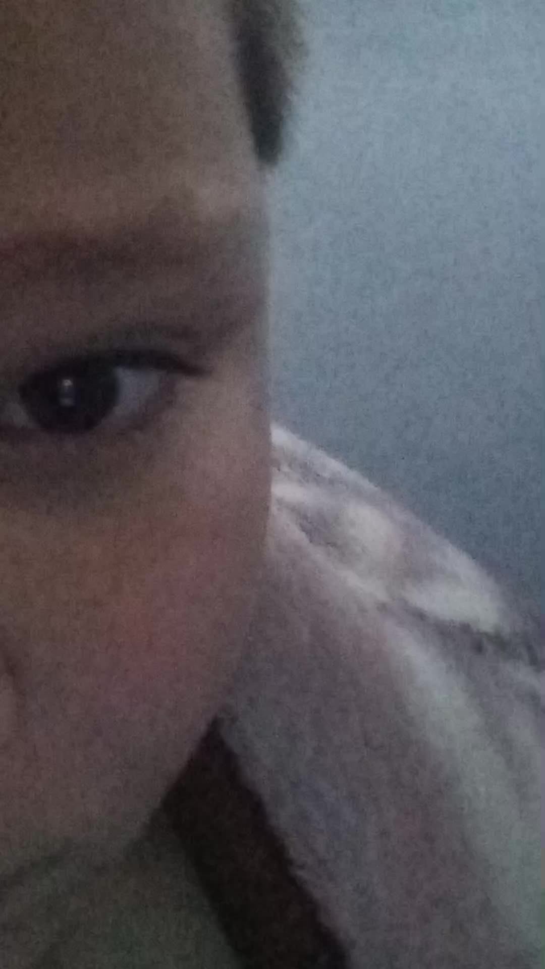 Пр смотреть онлайн