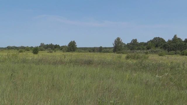 Раскрывая горизонты. Поиски дороги Чермные — Липовка (до Дарьино) Раскрывая горизонты. Поиски дороги Чермные — Липовка (до Дарьино)