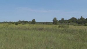 Раскрывая горизонты. Поиски дороги Чермные - Липовка (до Дарьино)