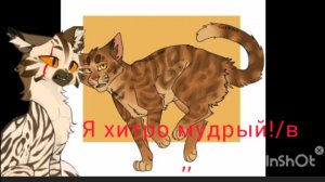Топ 5 самых мышеголовых Котов воителей! /Warriorcats.