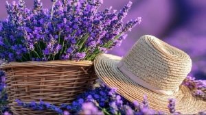 "Лиловые  цветы"