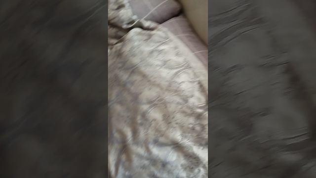 живые вещи-1 серия 1 сезона.