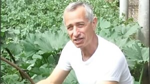 геймплей доктора попова