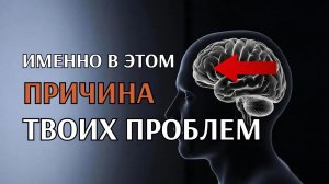 ⚠️ ТЫ ЭТОГО НЕ ЗНАЛ О СВОЁМ МОЗГЕ