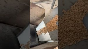 Гранулятор DR 200 inFermer Ролики 220 мм Производство Топливных Пеллет Видео От Клиента С Белорусии