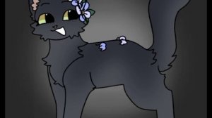 ос для коллба