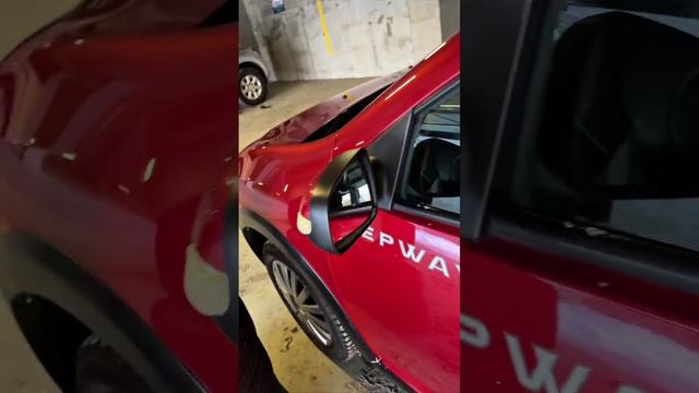 Обзор на Сандеро смотреть онлайн