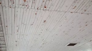 "АКТУАЛЬНЫЙ РЕПОРТАЖ". ЗАКРЫТЬ, НЕЛЬЗЯ ОСТАВИТЬ"