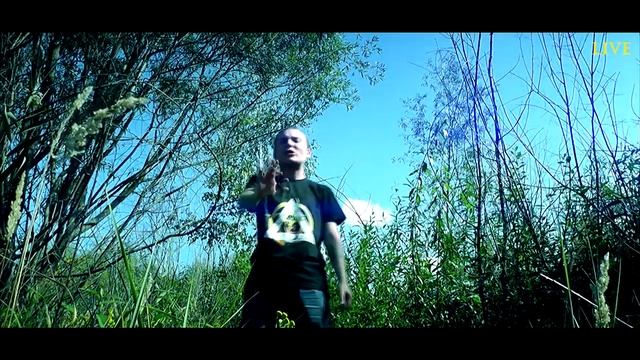 Jimmy Wise - Крадущийся тигр... (LIVE)(2019)